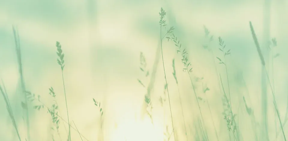 respect-nature